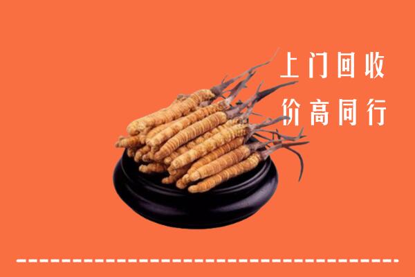 高价求购：延边州回收散虫草