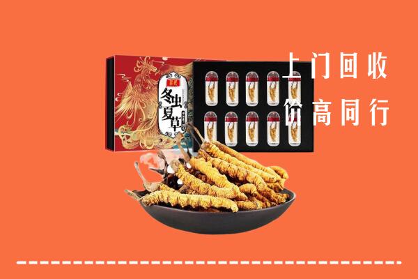 延边州回收虫草